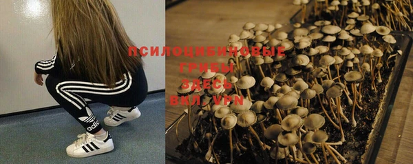 2c-b Балабаново