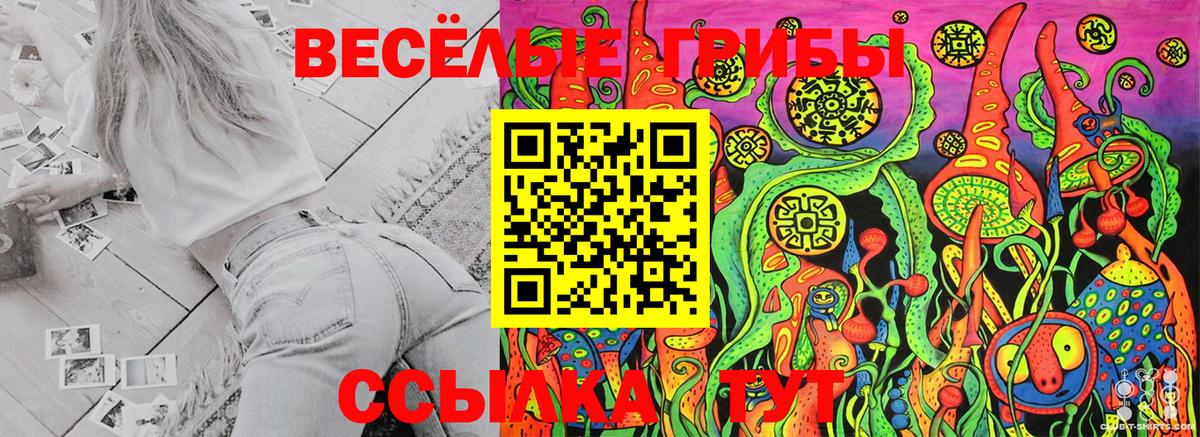 Псилоцибиновые грибы GOLDEN TEACHER  Псилоцибиновые грибы Psilocybe  наркошоп  Вход с VPN  Видное 