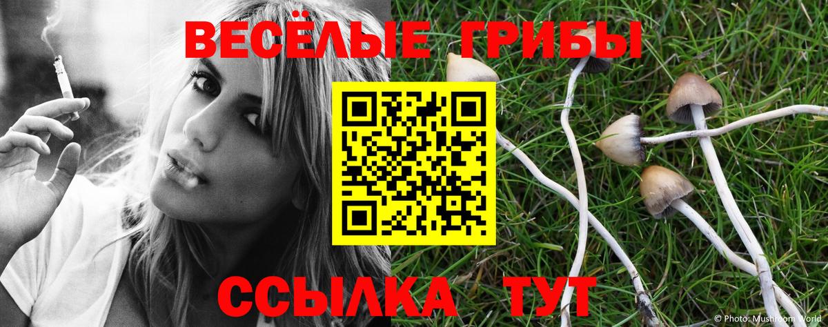 Псилоцибиновые грибы ЛСД Видное